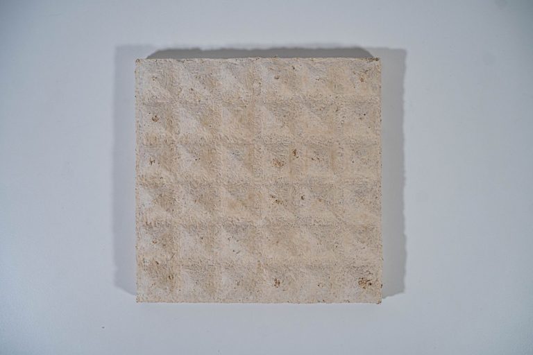 mycopor-products-002